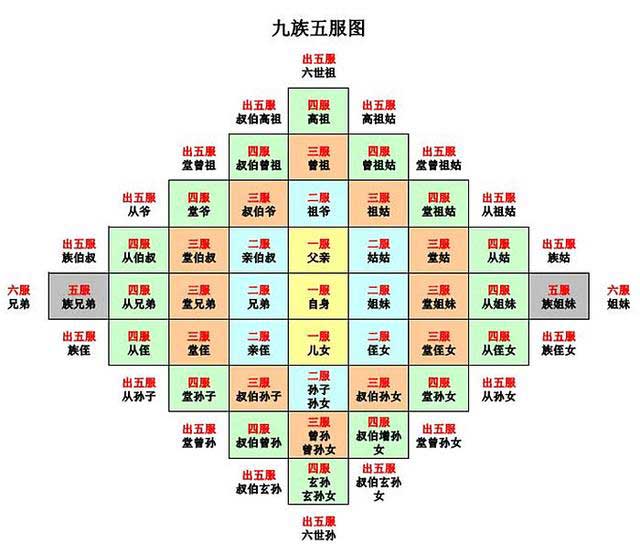九族五服图