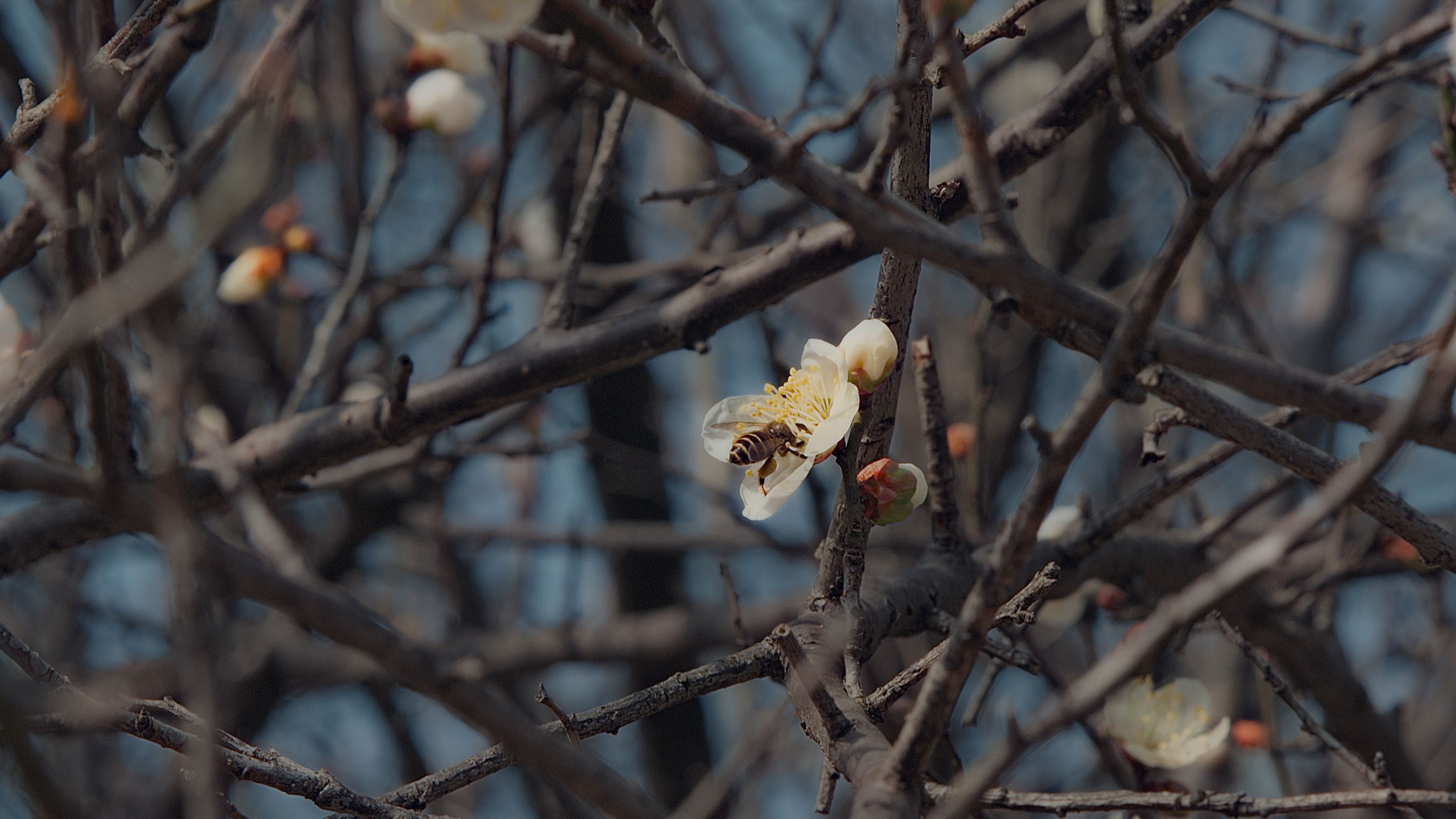 59条顶级生存法则