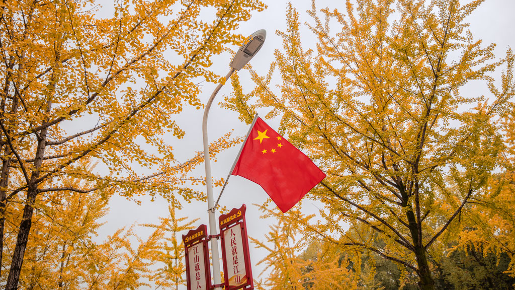 故乡的银杏叶黄了