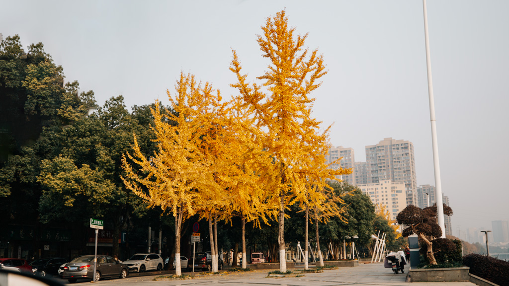 什么叫骨子里很坏的人
