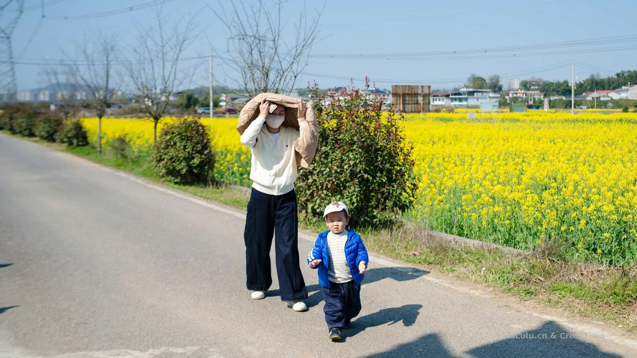 3月14日 油菜花园