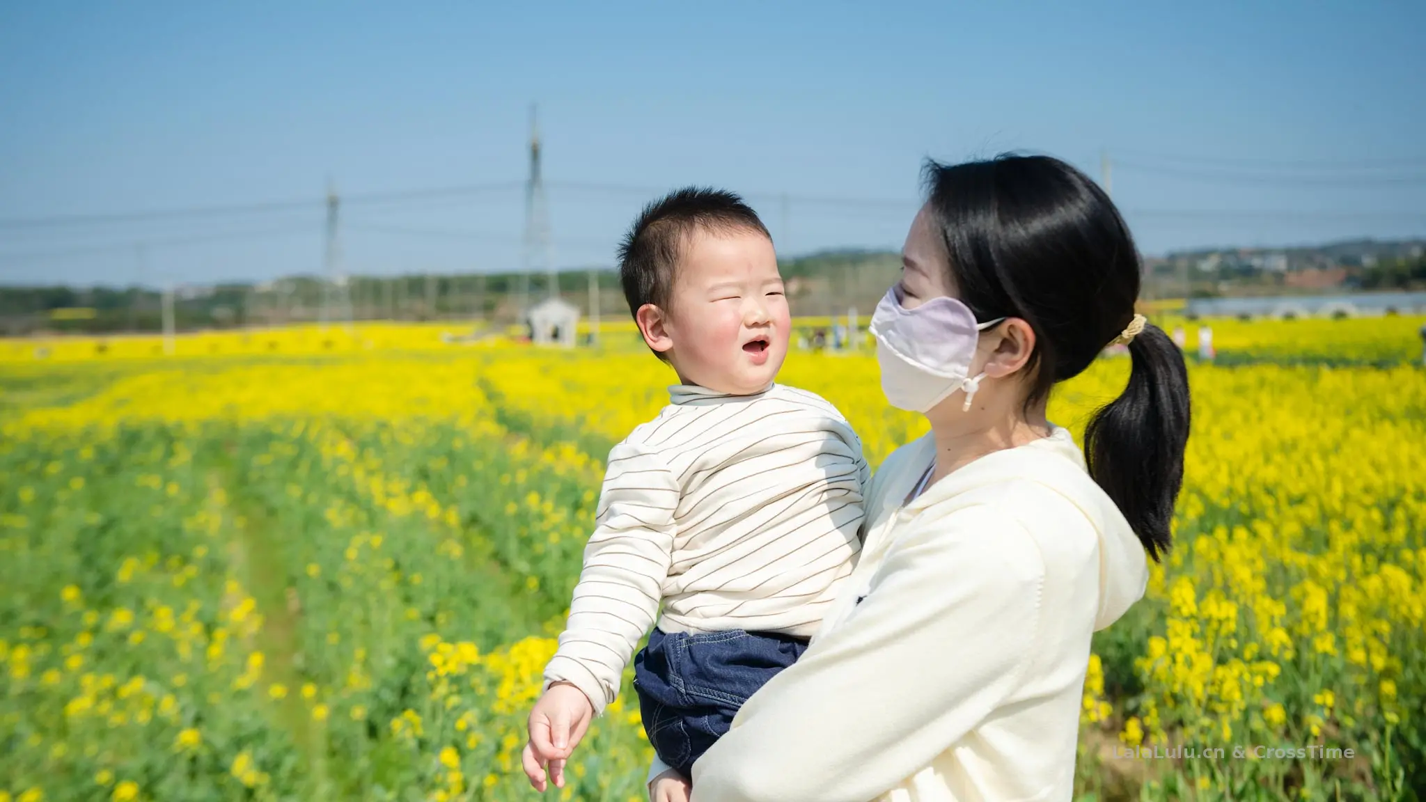 3月14日 油菜花园