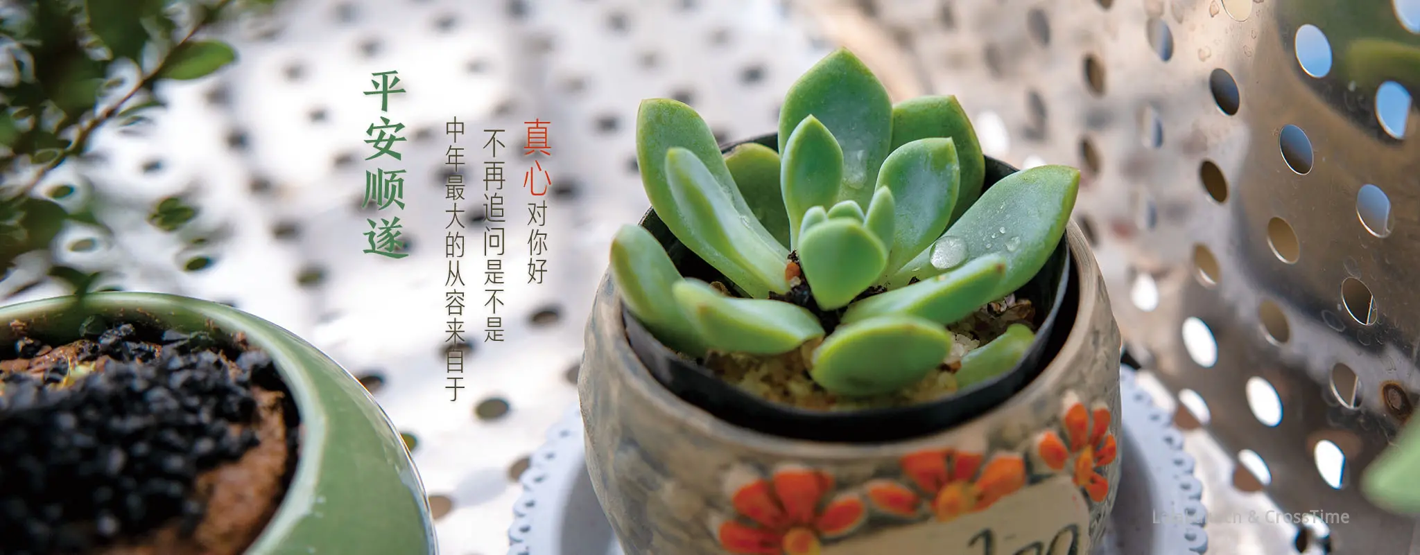 中年最大的从容